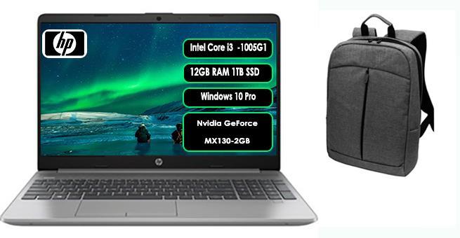 HP 250 G8 45Q24ESZ17 i3 1005G1 12GB 1TB SSD MX130 15.6'' W10P+Çanta