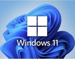 Windows OEM 11 Pro 64Bit Türkçe FQC-10556